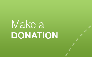 make-a-donation-cta